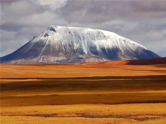 ����������Ե��ȫ�й���ֲ���ʮ�����ν���