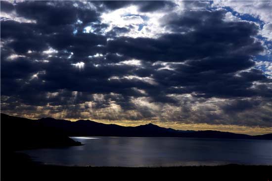 ����������Ե��ȫ�й���ֲ���ʮ�����ν���