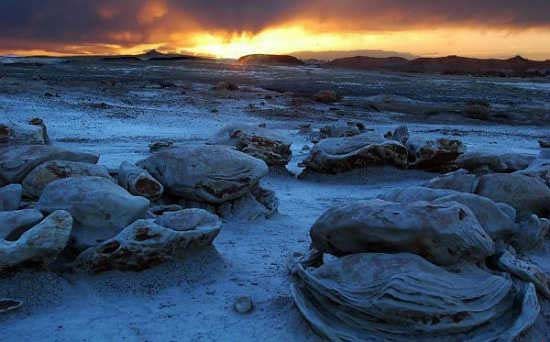 ����������Ե��ȫ�й���ֲ���ʮ�����ν���