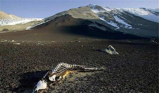 ����������Ե��ȫ�й���ֲ���ʮ�����ν���