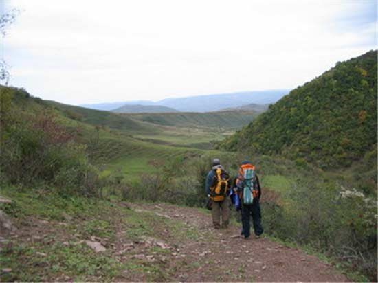 ����������Ե��ȫ�й���ֲ���ʮ�����ν���