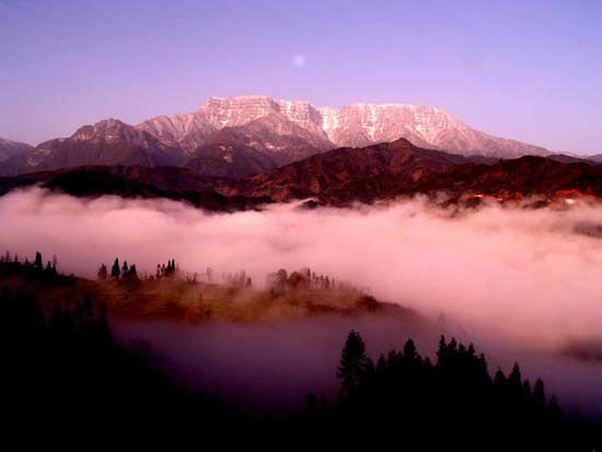 ����������Ե��ȫ�й���ֲ���ʮ�����ν���